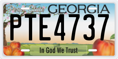 GA license plate PTE4737