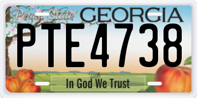GA license plate PTE4738