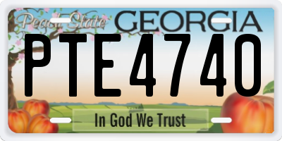 GA license plate PTE4740