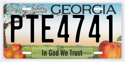 GA license plate PTE4741
