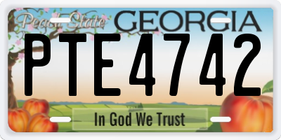 GA license plate PTE4742