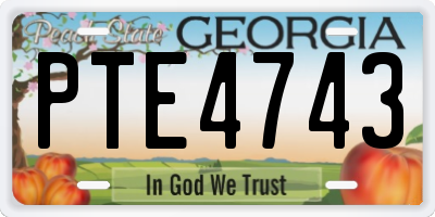 GA license plate PTE4743