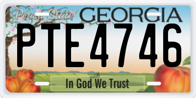 GA license plate PTE4746