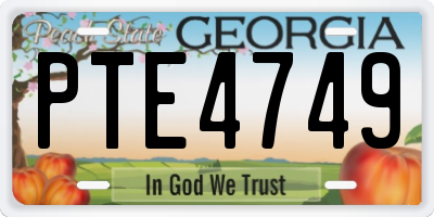 GA license plate PTE4749