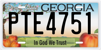 GA license plate PTE4751