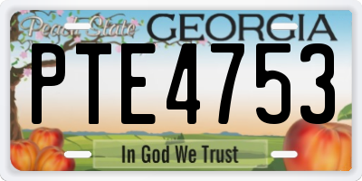 GA license plate PTE4753