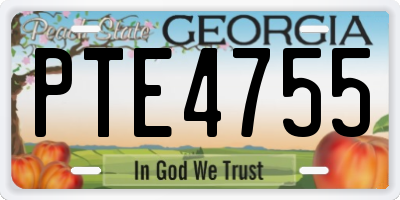 GA license plate PTE4755