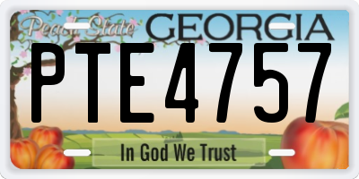 GA license plate PTE4757