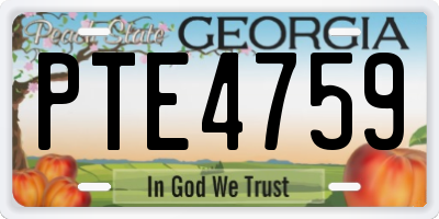GA license plate PTE4759