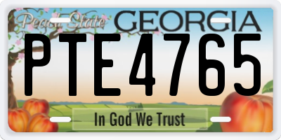 GA license plate PTE4765