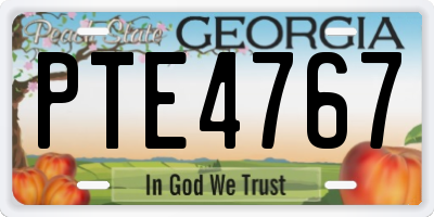 GA license plate PTE4767