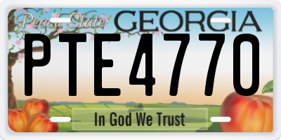 GA license plate PTE4770