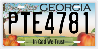 GA license plate PTE4781