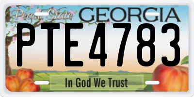 GA license plate PTE4783