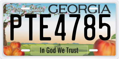 GA license plate PTE4785