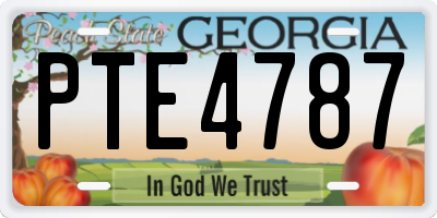GA license plate PTE4787