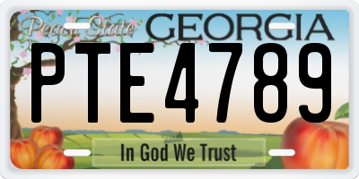 GA license plate PTE4789
