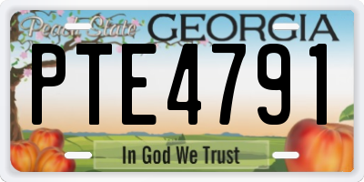 GA license plate PTE4791