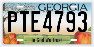 GA license plate PTE4793