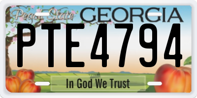 GA license plate PTE4794