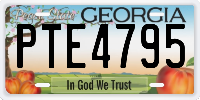 GA license plate PTE4795