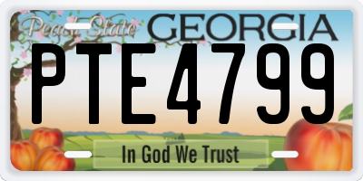 GA license plate PTE4799