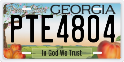 GA license plate PTE4804