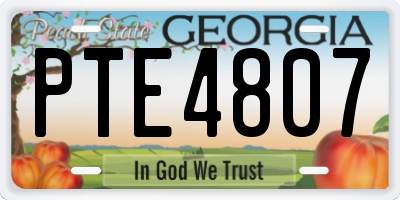 GA license plate PTE4807