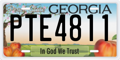GA license plate PTE4811
