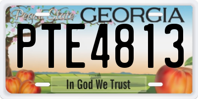 GA license plate PTE4813