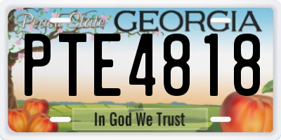 GA license plate PTE4818