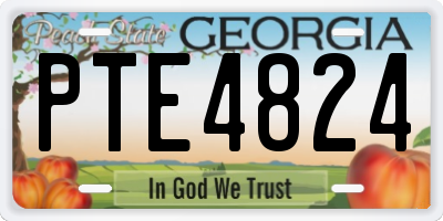 GA license plate PTE4824