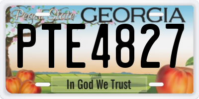 GA license plate PTE4827