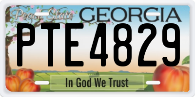 GA license plate PTE4829