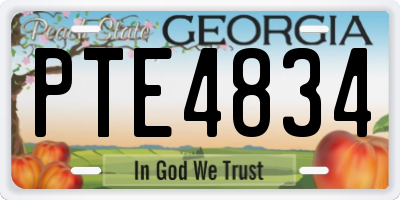GA license plate PTE4834