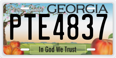 GA license plate PTE4837