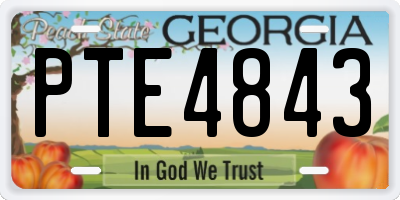 GA license plate PTE4843