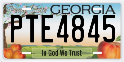 GA license plate PTE4845