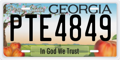 GA license plate PTE4849