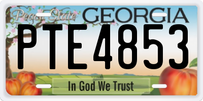 GA license plate PTE4853