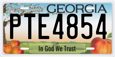 GA license plate PTE4854