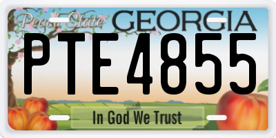 GA license plate PTE4855