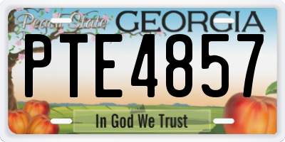 GA license plate PTE4857