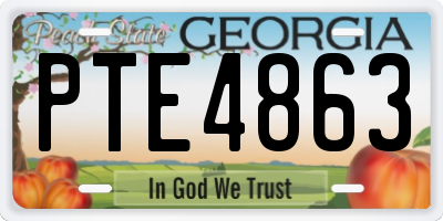 GA license plate PTE4863