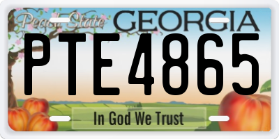 GA license plate PTE4865
