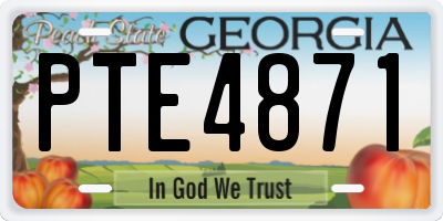 GA license plate PTE4871