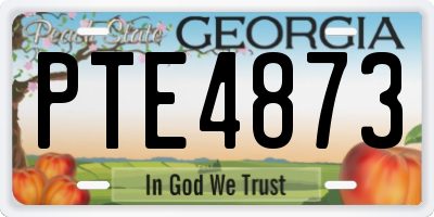 GA license plate PTE4873