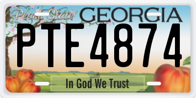 GA license plate PTE4874