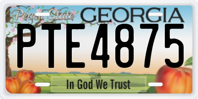 GA license plate PTE4875