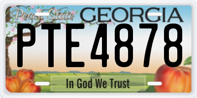 GA license plate PTE4878
